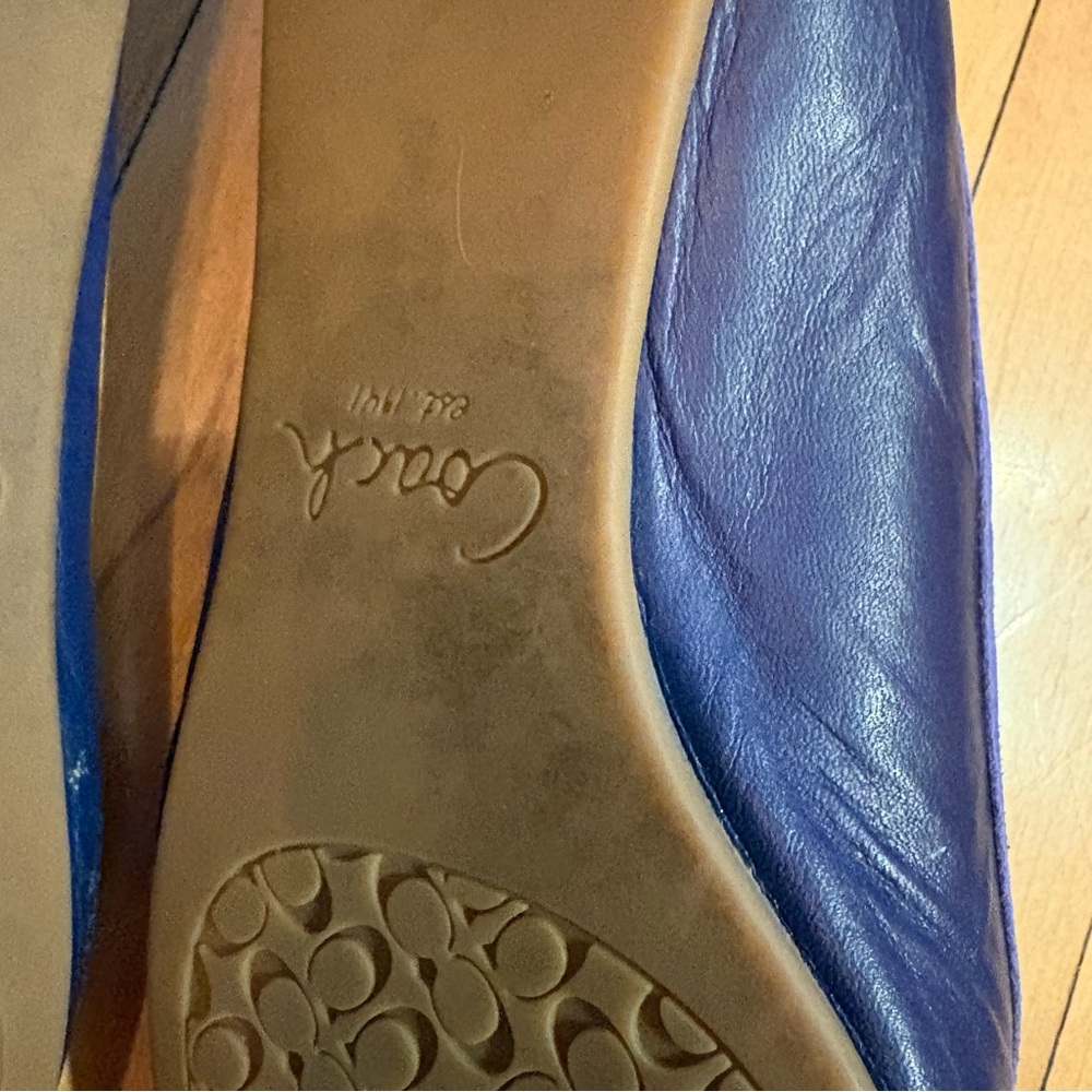 Coach Blue/Purple Suede & Leather Ballet Flats with Buckle - Picture 4 of 5